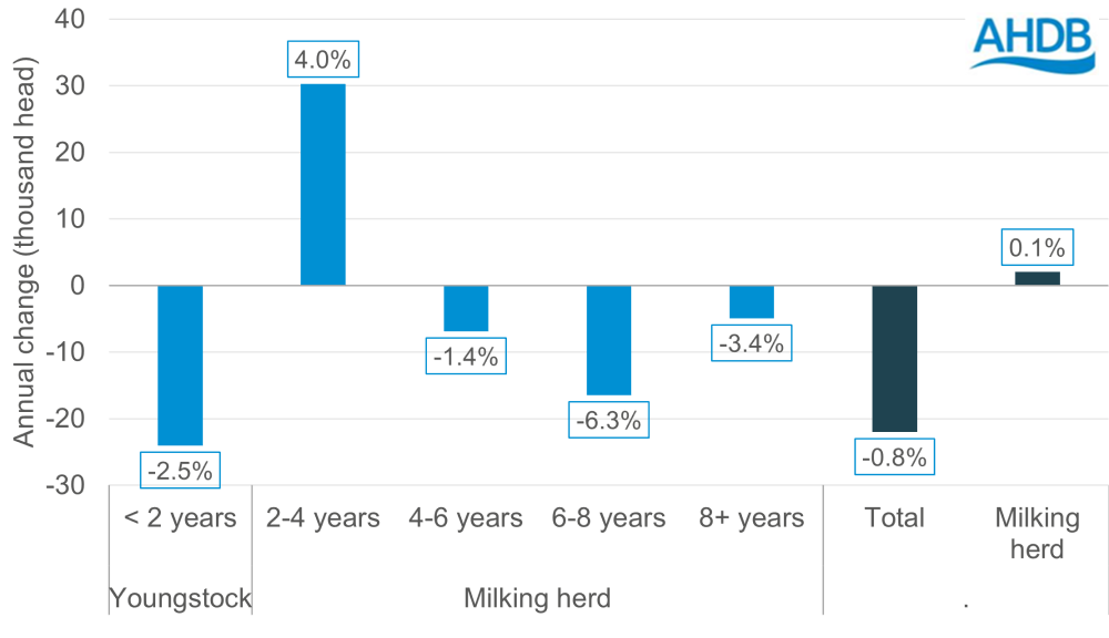 Graph showing the annual change in the GB dairy herd by age